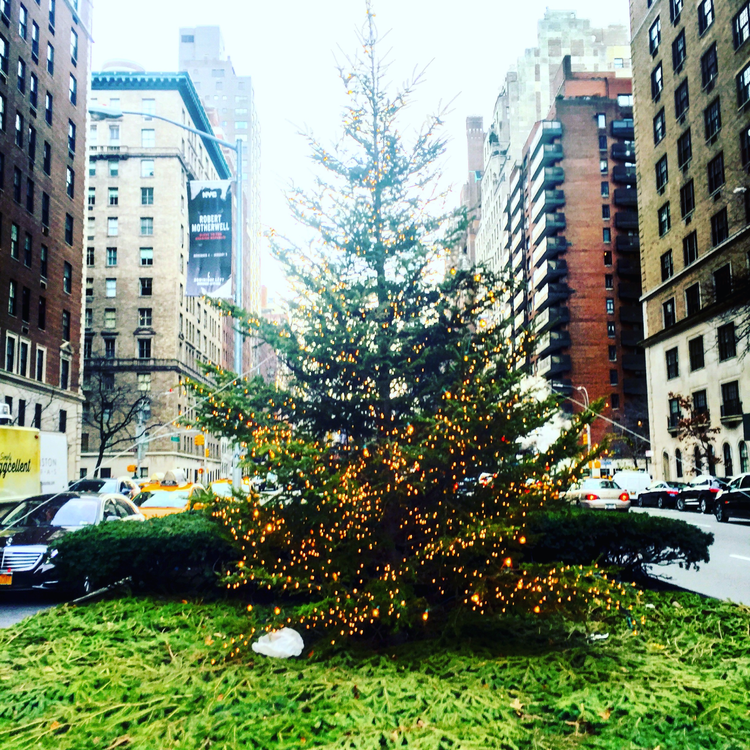 ParkAvenuetree