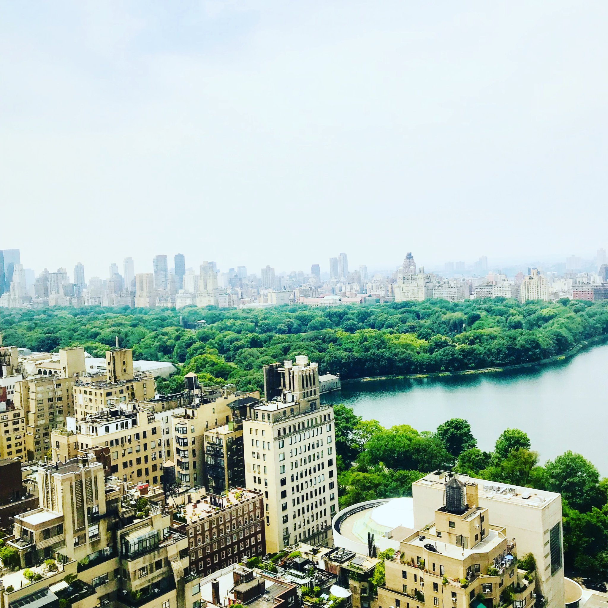 442VWnl_RQizlxPY5UNDyQ